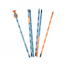 How to Choose an Avalanche Probe | Telemark Pyrenees